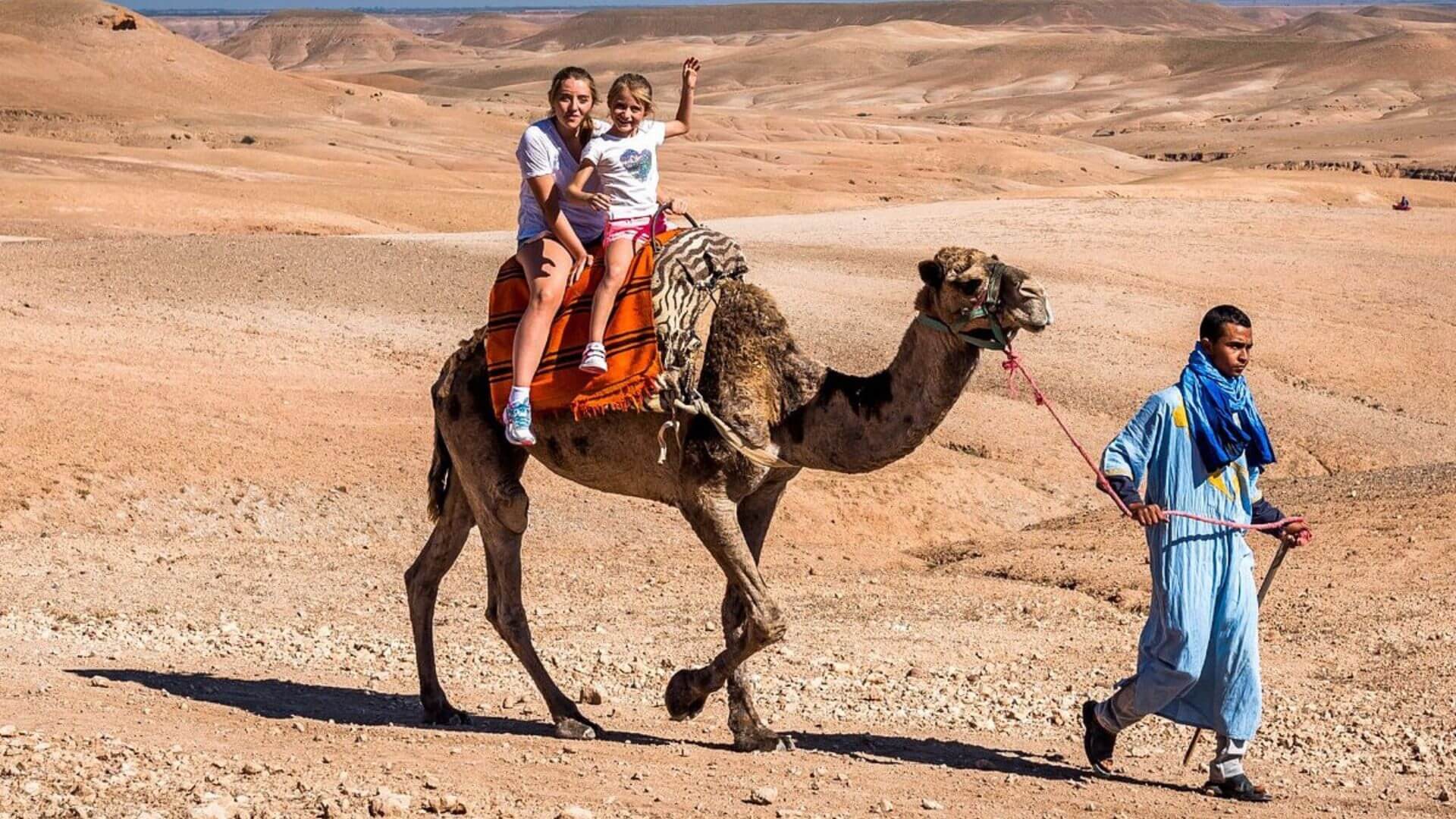 Dromadaire Agafay - Balade à Dos de Chameau dans le Désert d'Agafay