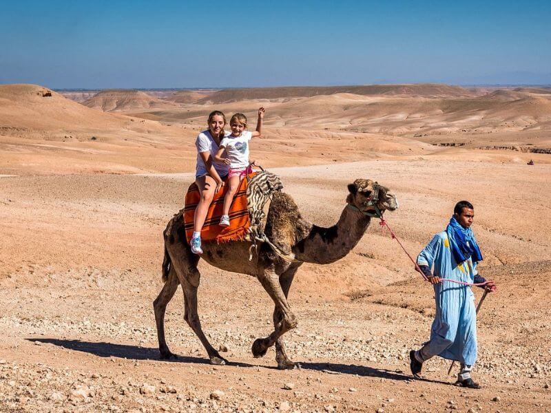 Dromadaire Agafay - Balade à Dos de Chameau